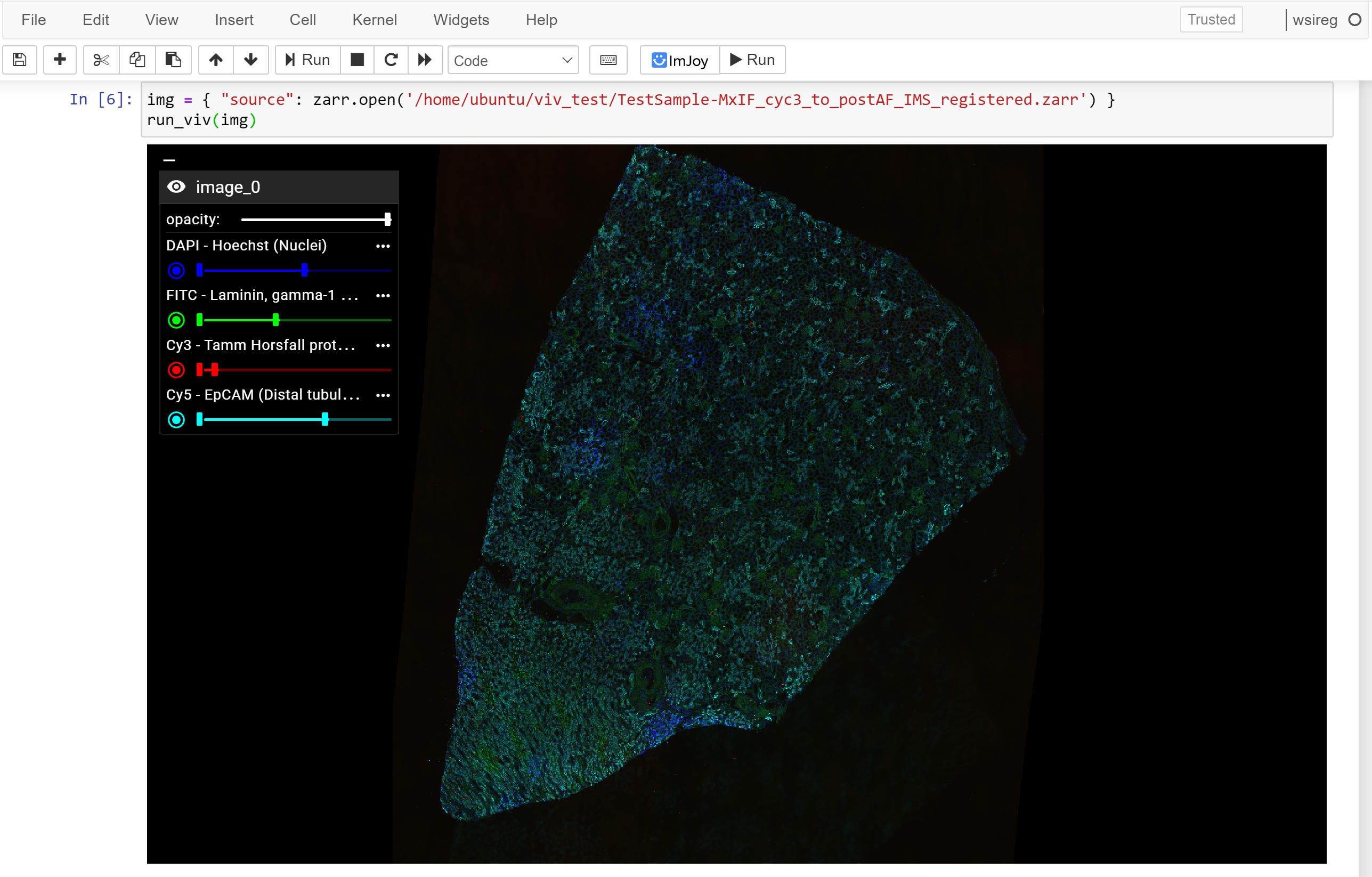 Multiscale OME-Zarr in Jupyter Notebook with Vizarr