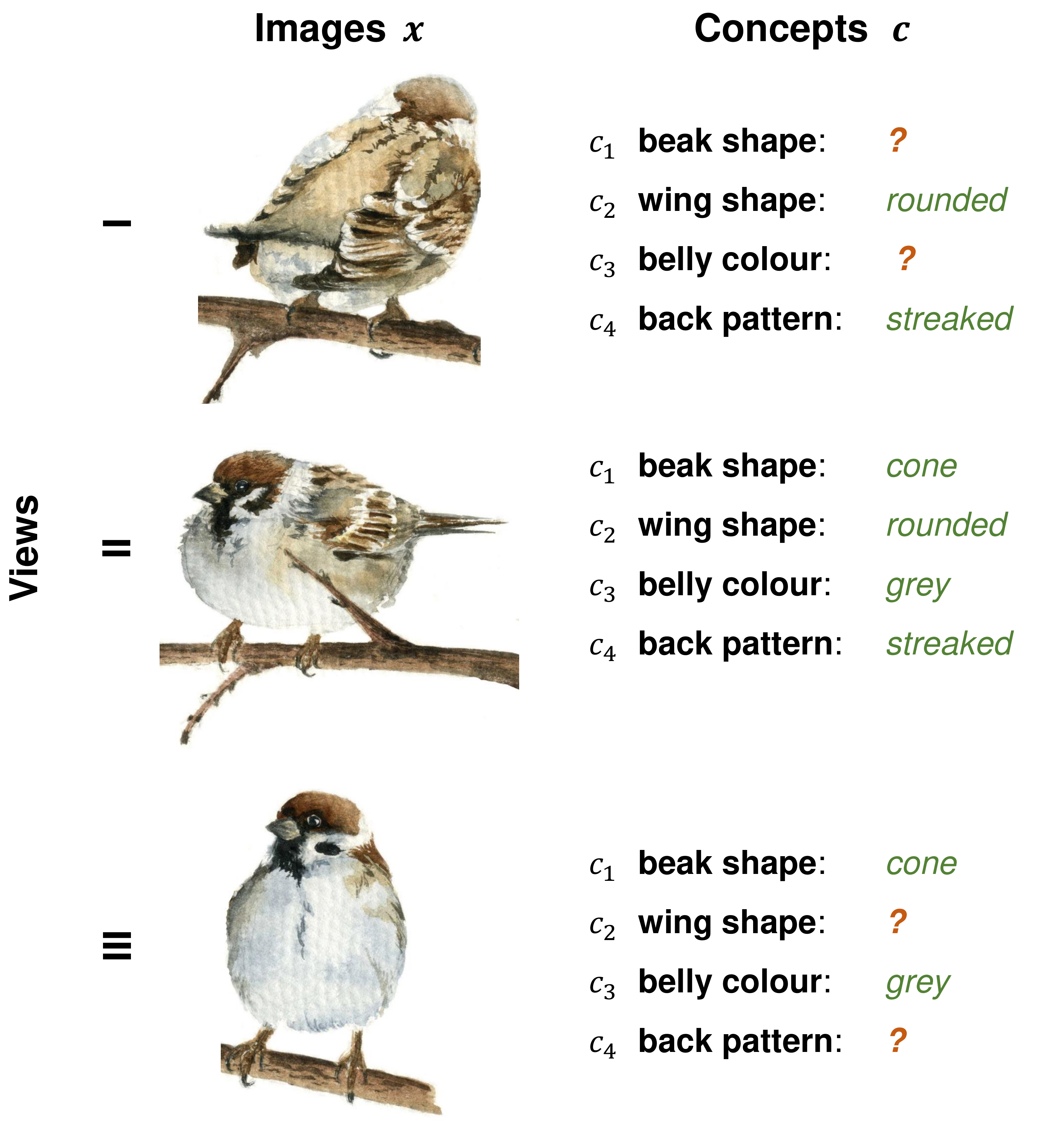 Multiview concept-based classification