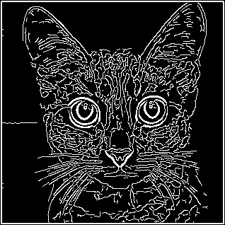 Canny Edge Detection Result