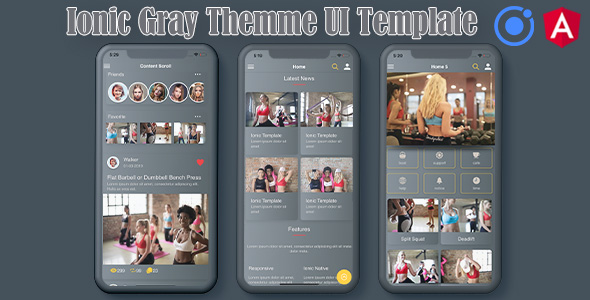 Ionic 5  Angular 8 Gary UI Theme  Template App 