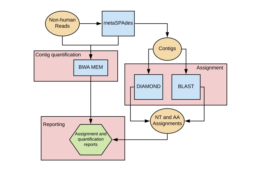 Pipeline schematic