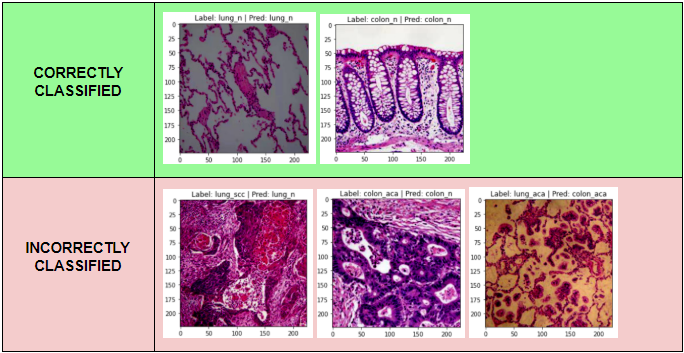 Classification of Google-Sourced Images