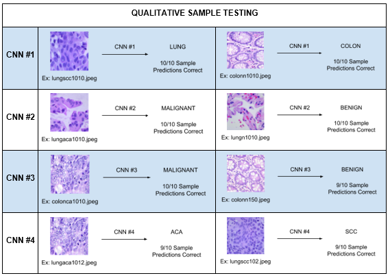 Qualitative Sample Testing