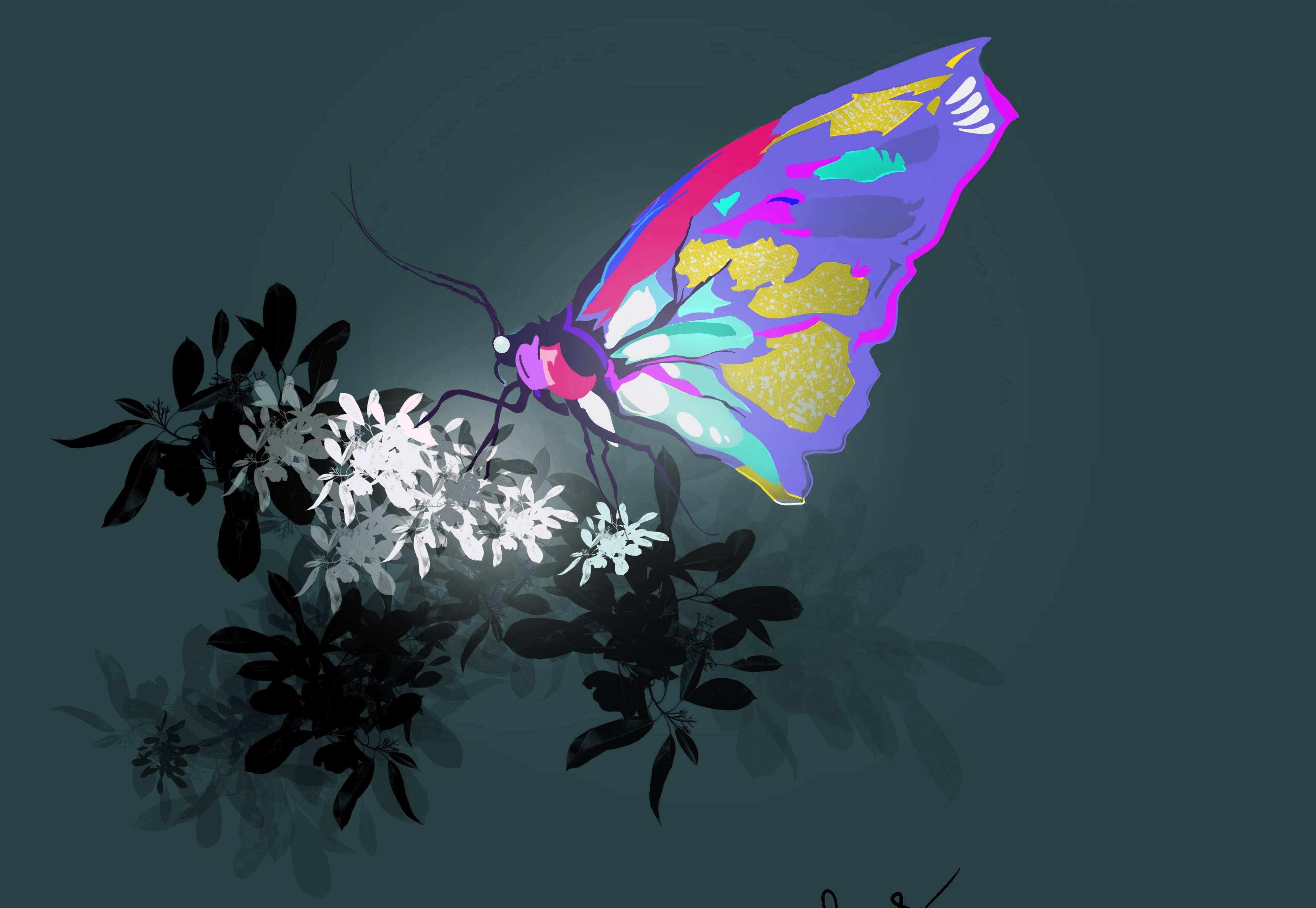 Butterfly ProCreate Art