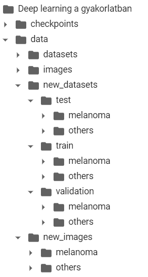 directory structure