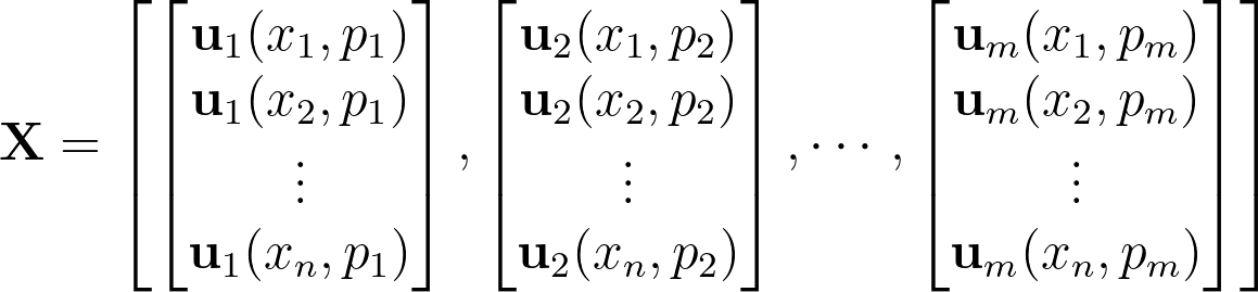 snapshot equation