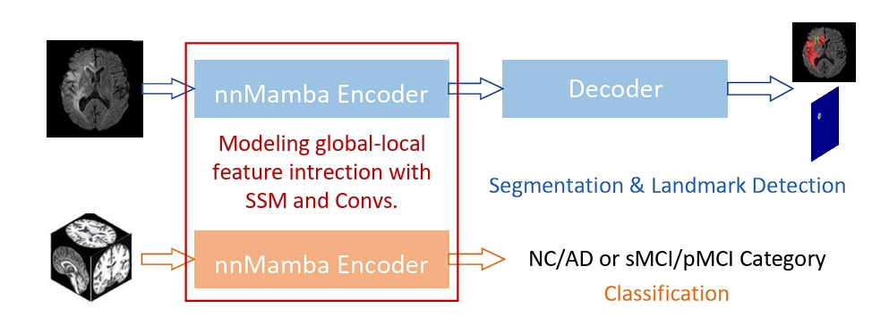 Overview of the framework