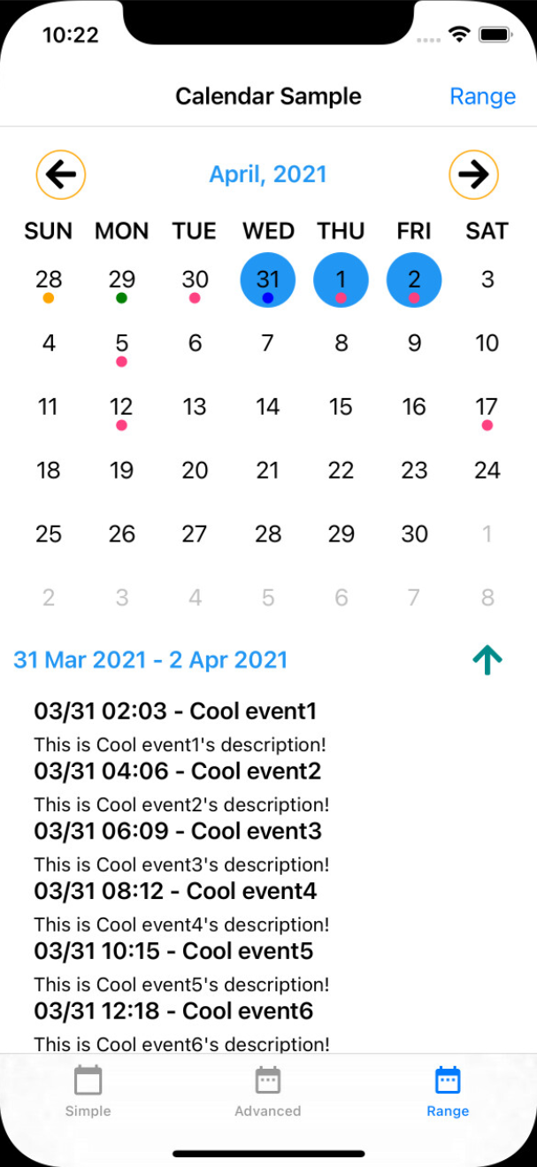 iPhone Custom Calendar Screenshot