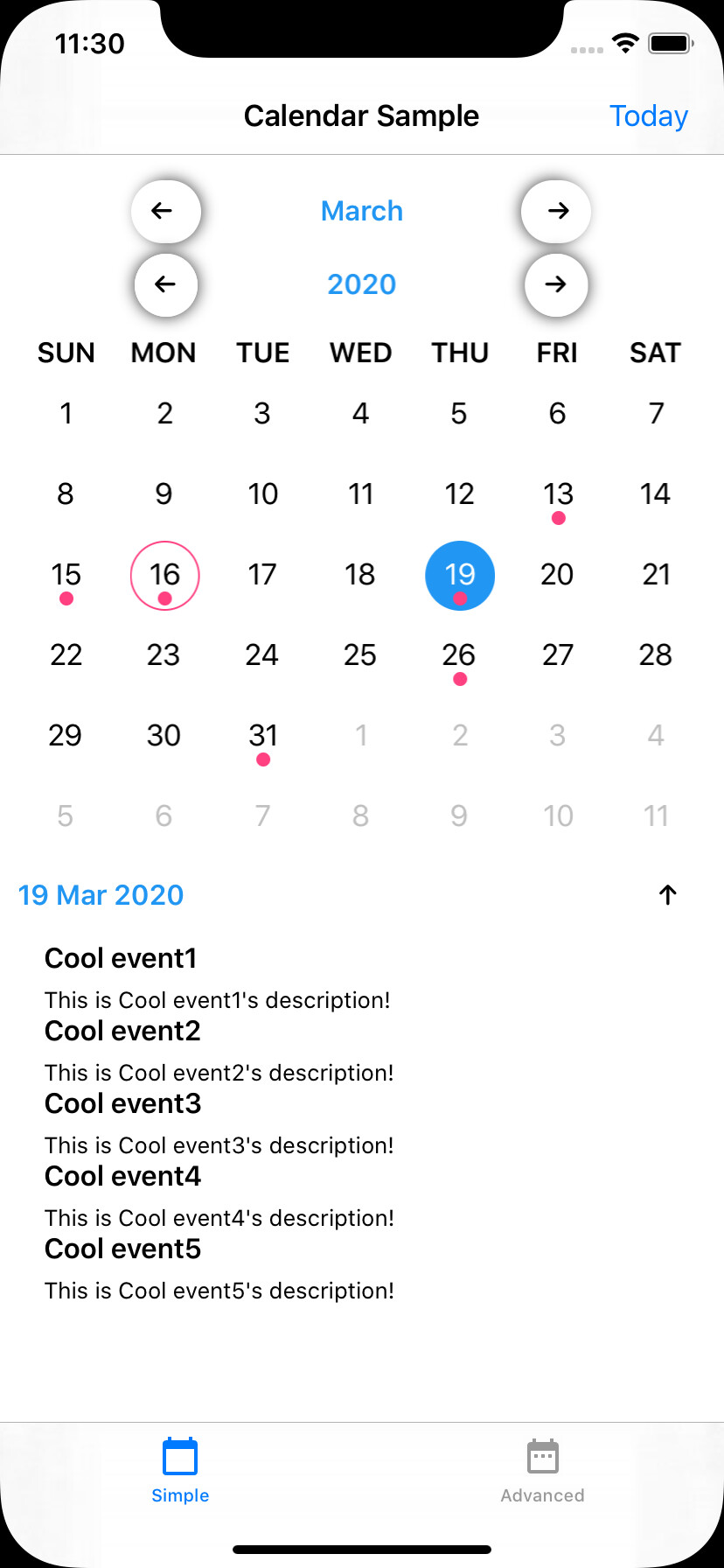 iPhone Calendar Screenshot