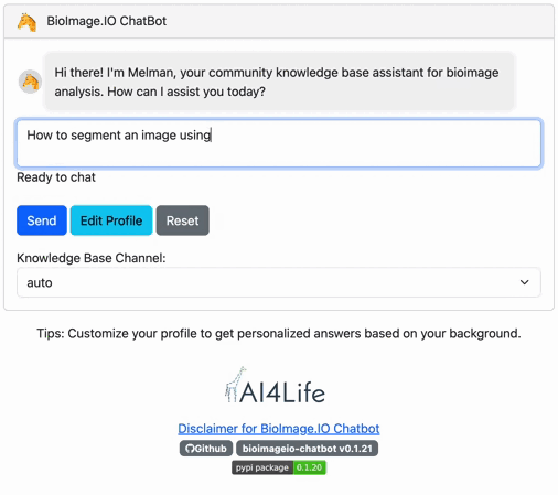screenshot for the chatbot