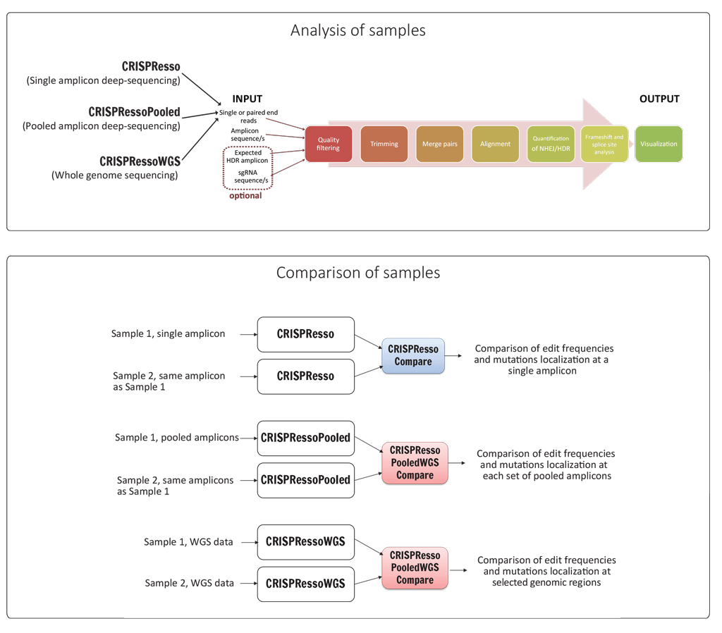 https://github.com/lucapinello/CRISPResso/blob/master/CRISPResso_pipeline.png?raw=true