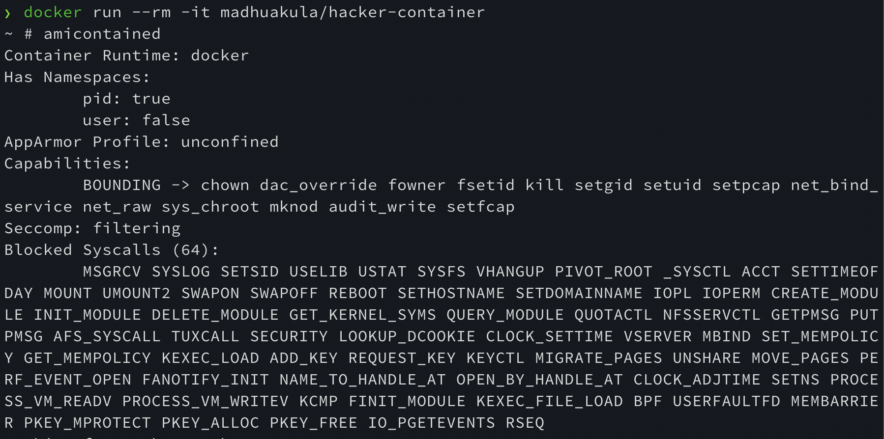 Hacker Container in Action