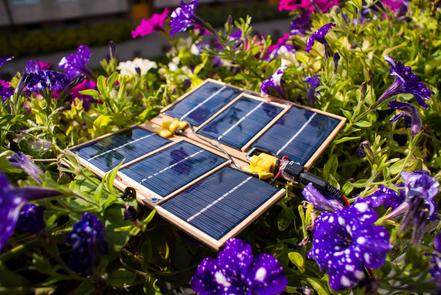 Flare device among flowers