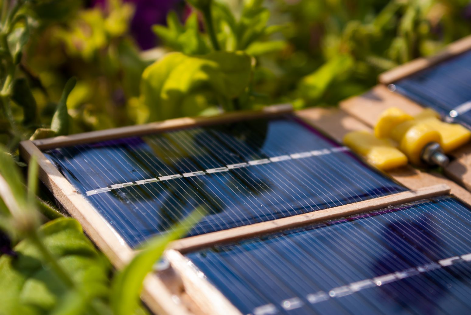 Solar cell upclose