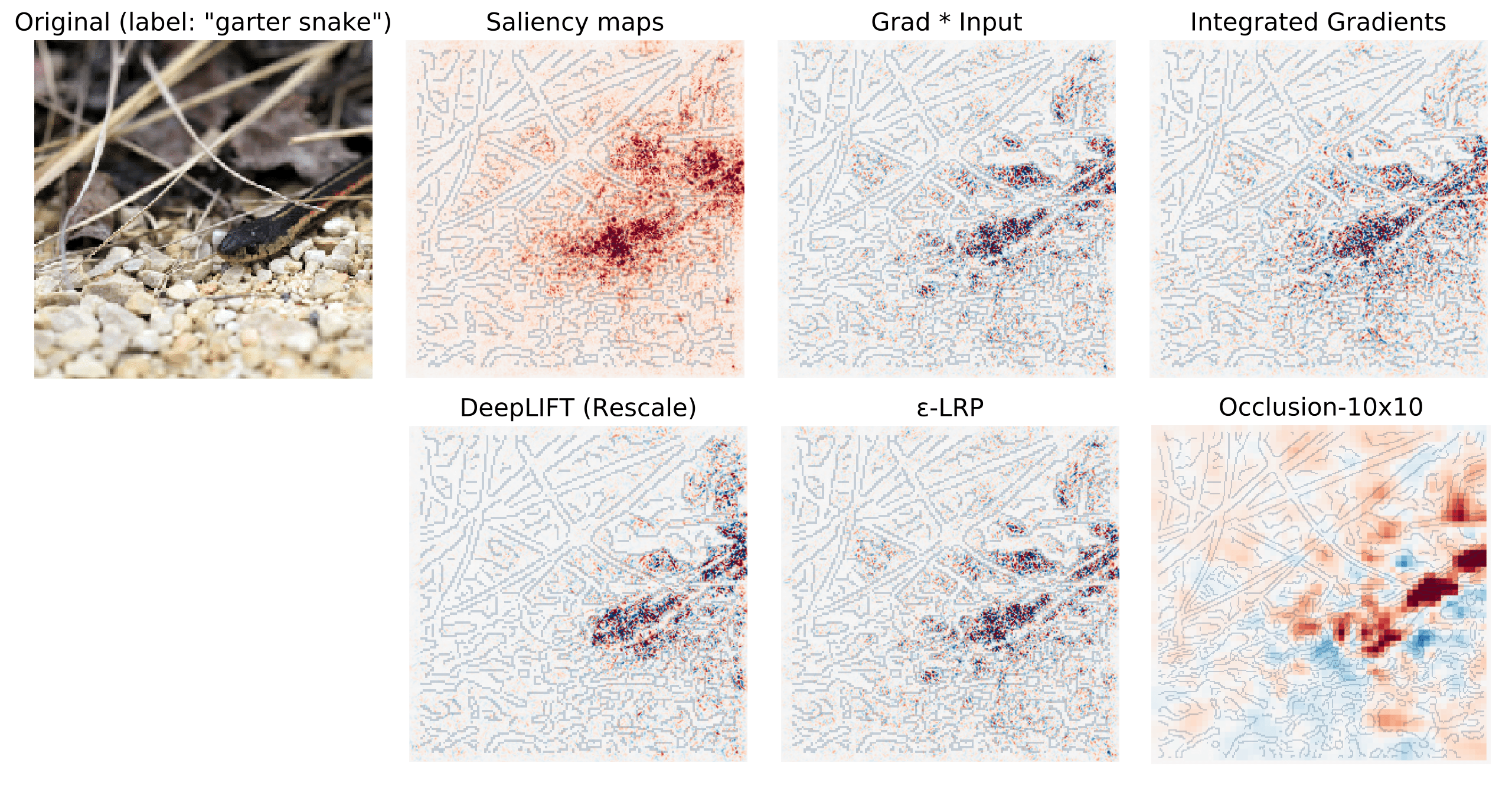 Attribution methods comparison on InceptionV3