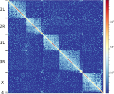 HiCAssembler assembly