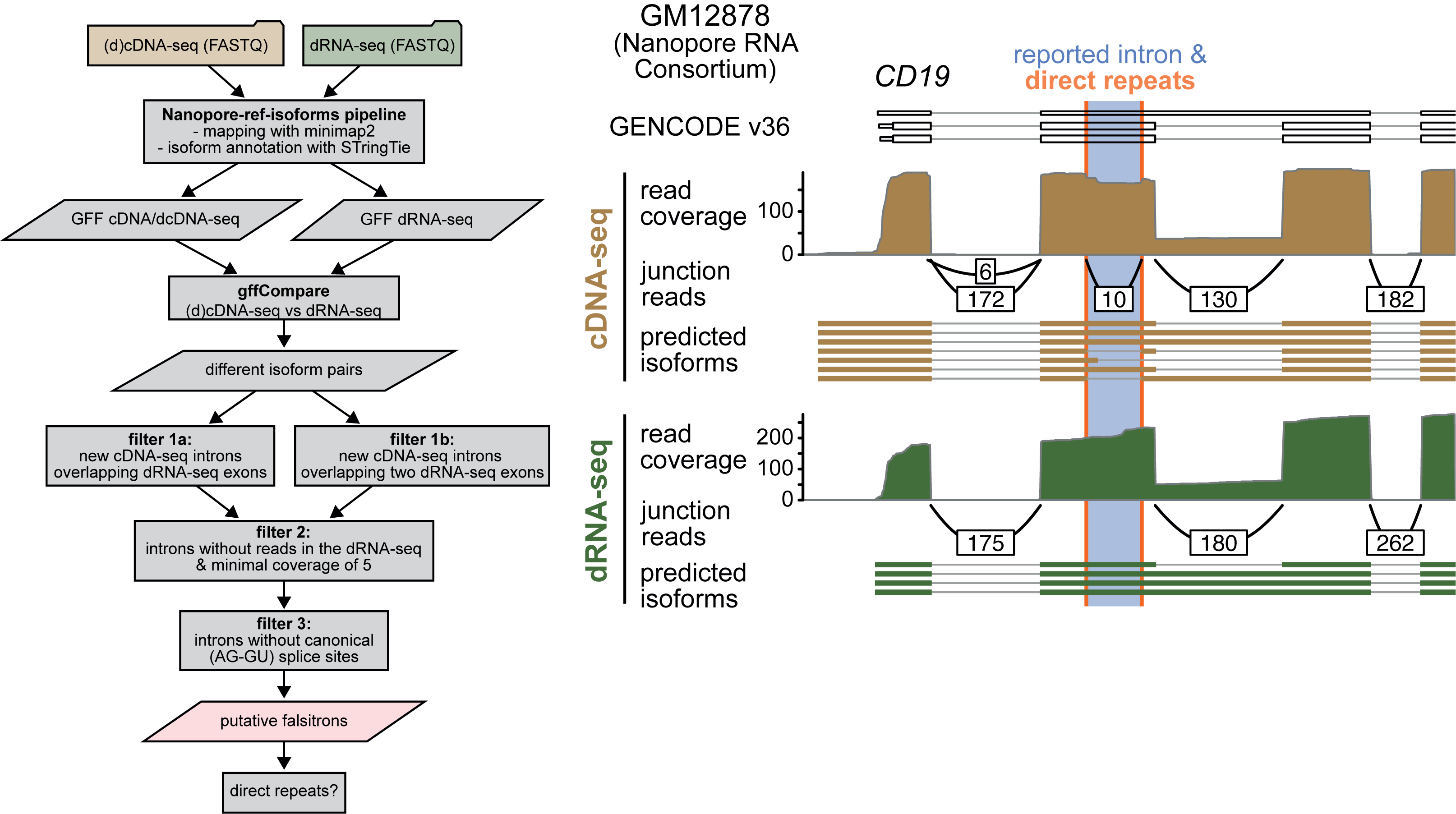 Falsitron detection pipeline and example