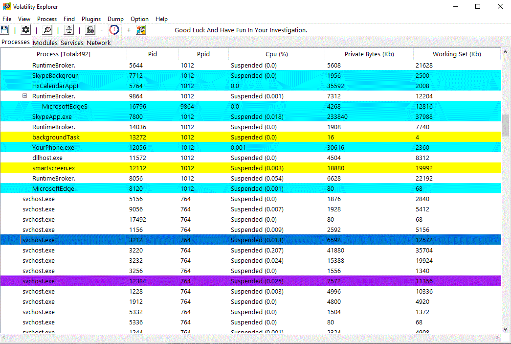 example vol3xp, the colors used to identify special processes (serviceses, protected)