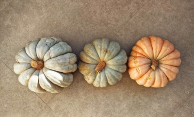 Pumpkins-RGB