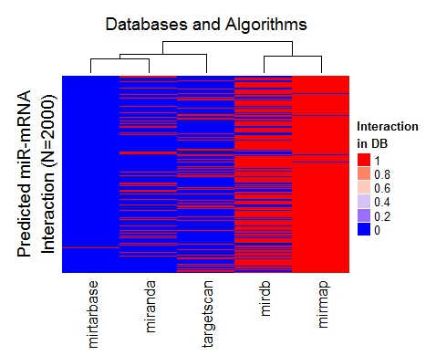 PrImiR pairwise consensus heatmap summary