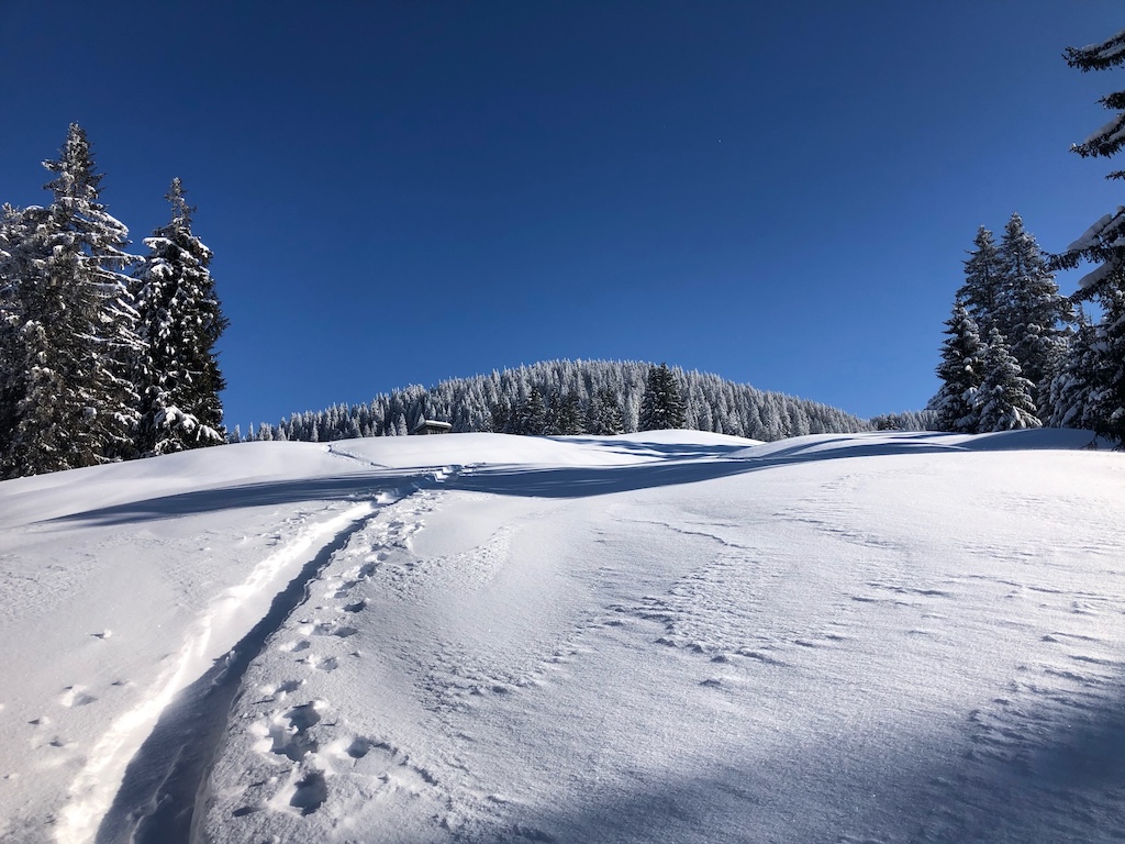 Skitouring Image