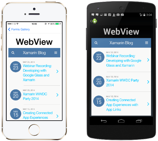 WebView