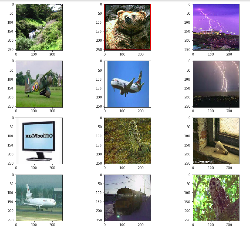 image classification with transfer learning 