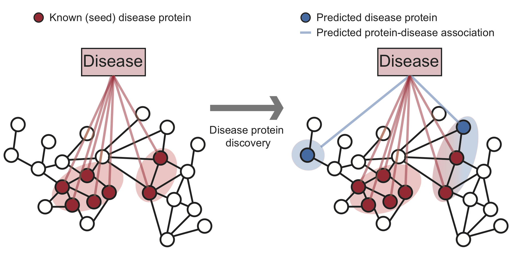 Disease pathway discovery