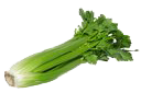 celery