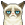 grumpycat