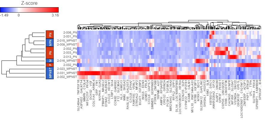 Heatmap