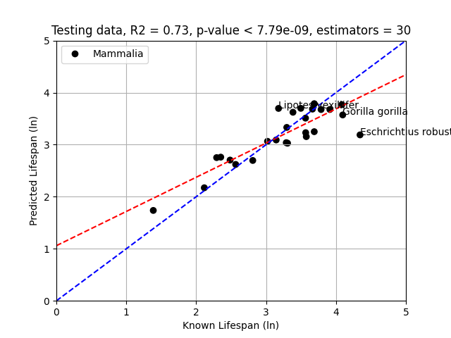 test-mammalia