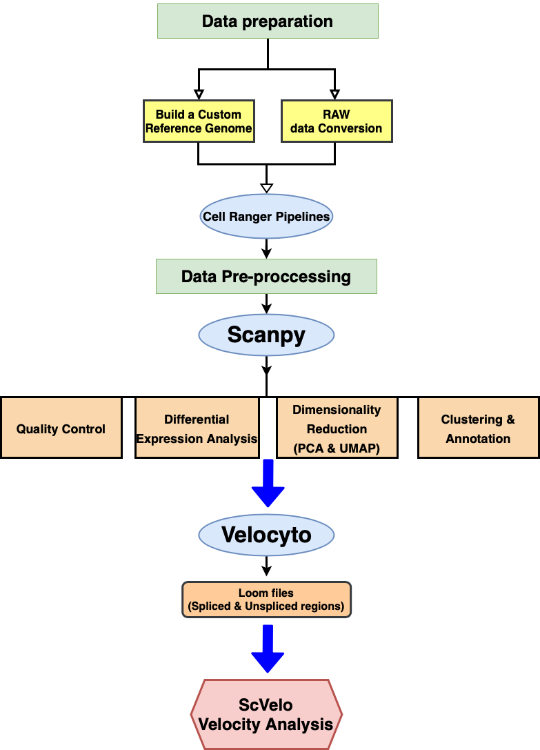 Project Flowchart