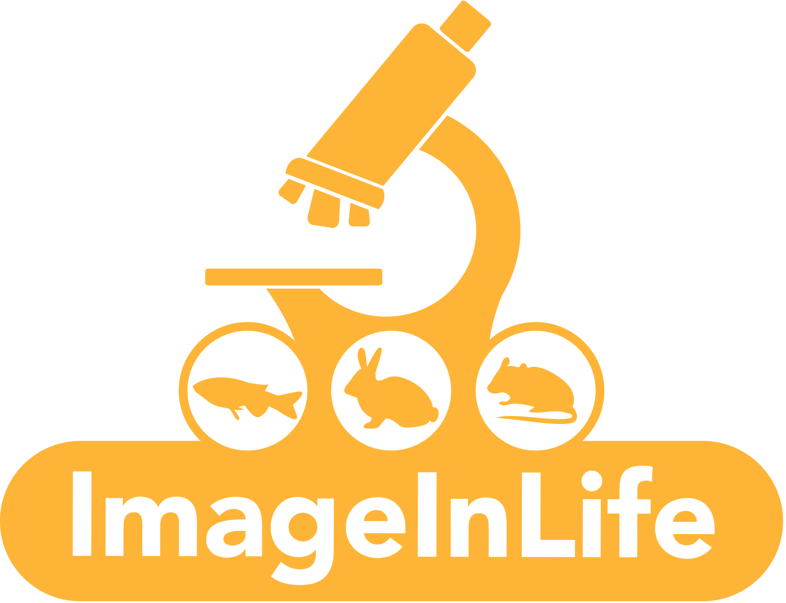 ImageInLife