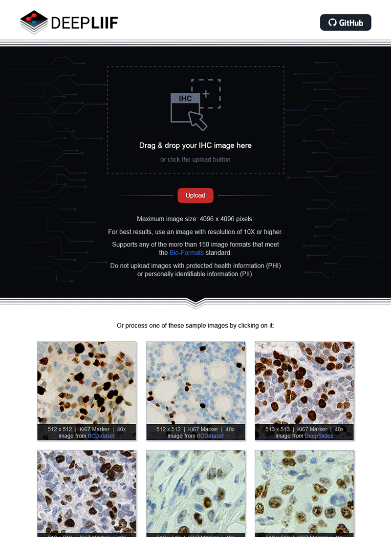 DeepLIIF Website Demo