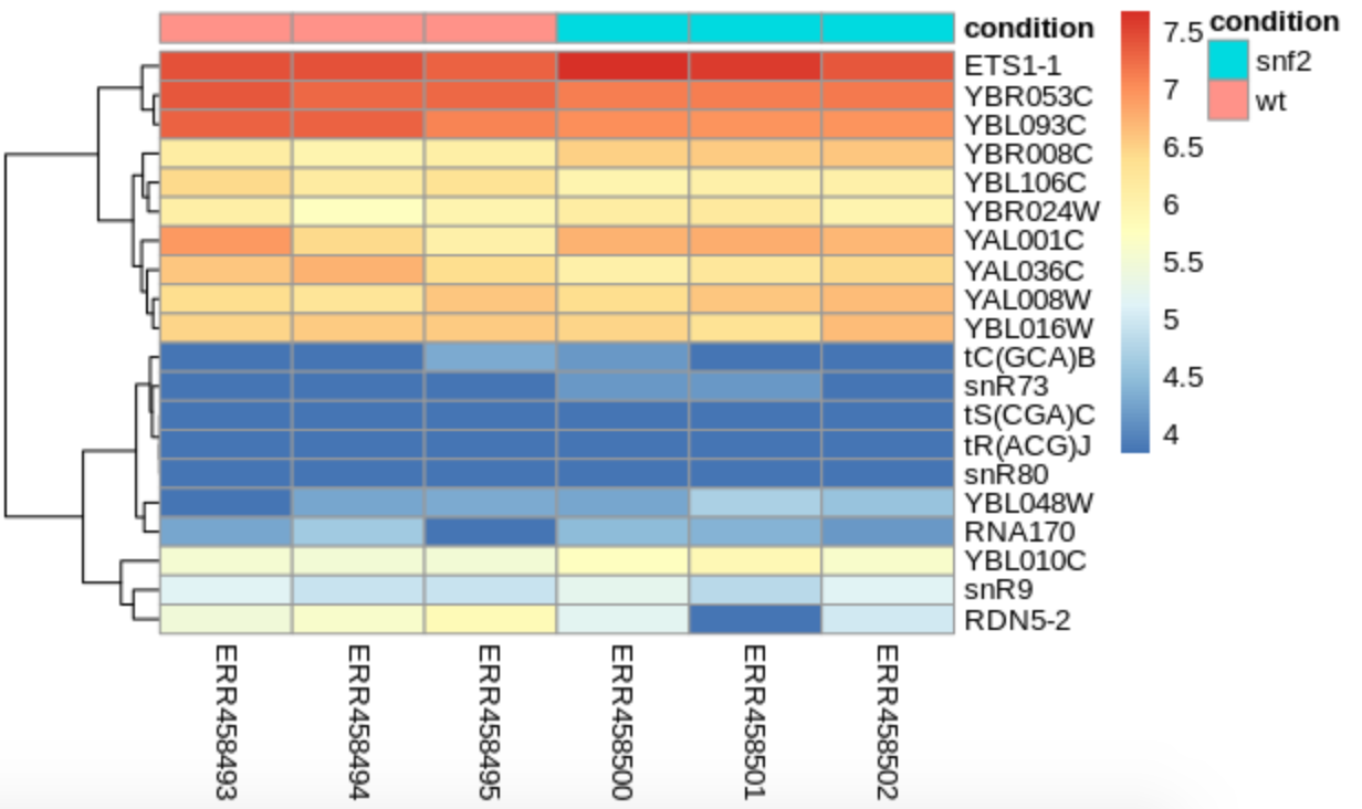 deseq_heatmap.png