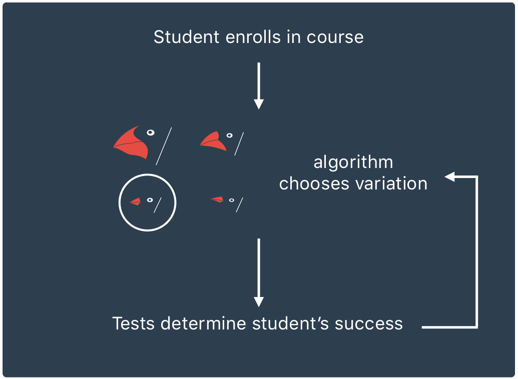 Algorithm