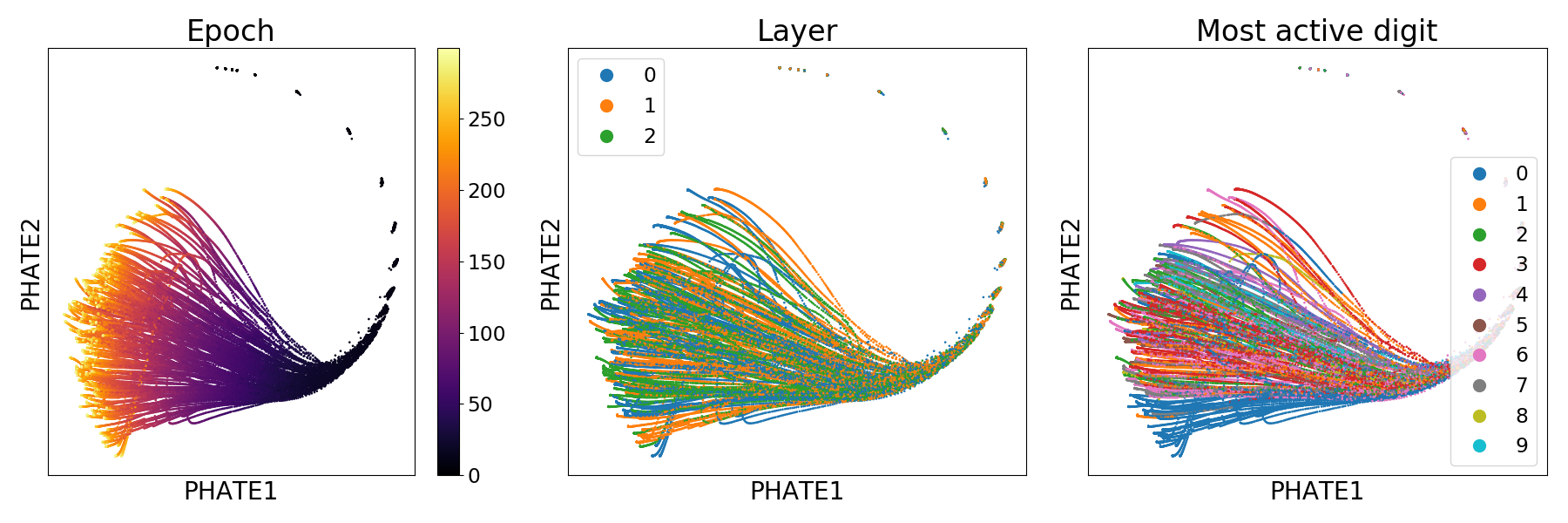 Demonstration M-PHATE plot