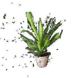 plant3