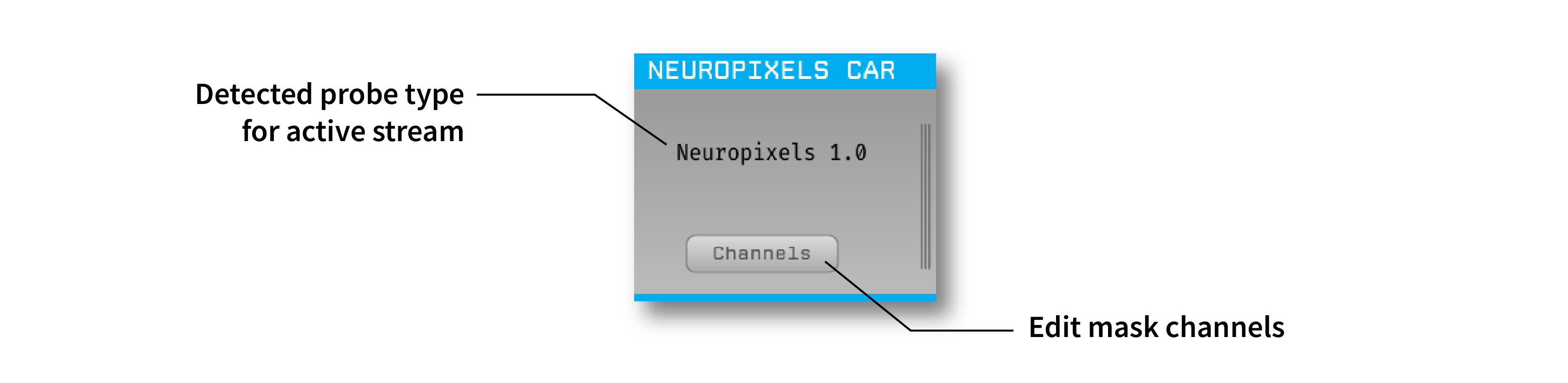 neuropixels-car-screenshot