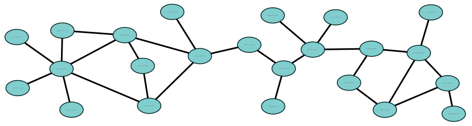Example random network