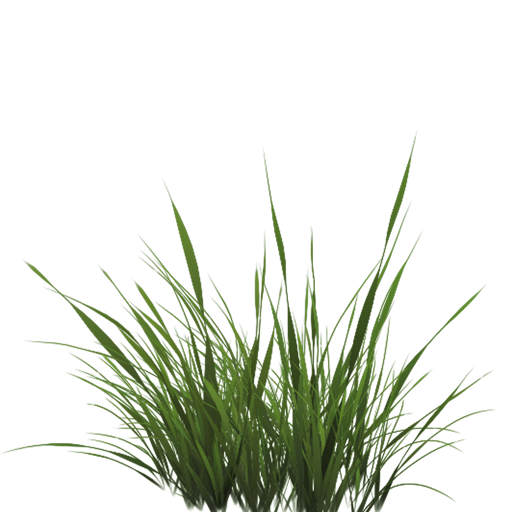 grass.png