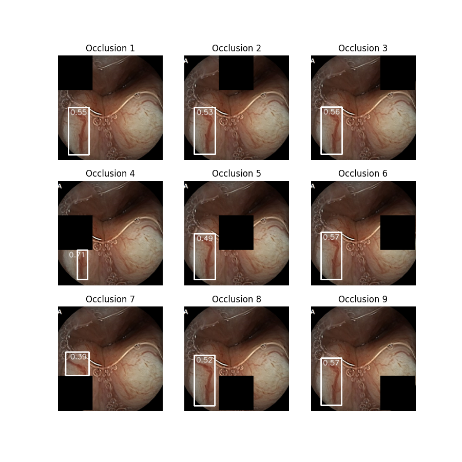 A00060.png Occlusion Plot (Dataset 2)