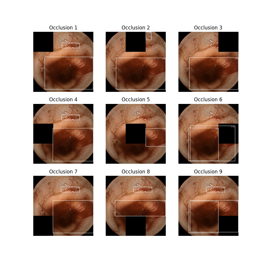 Image 20 Occlusion Plot