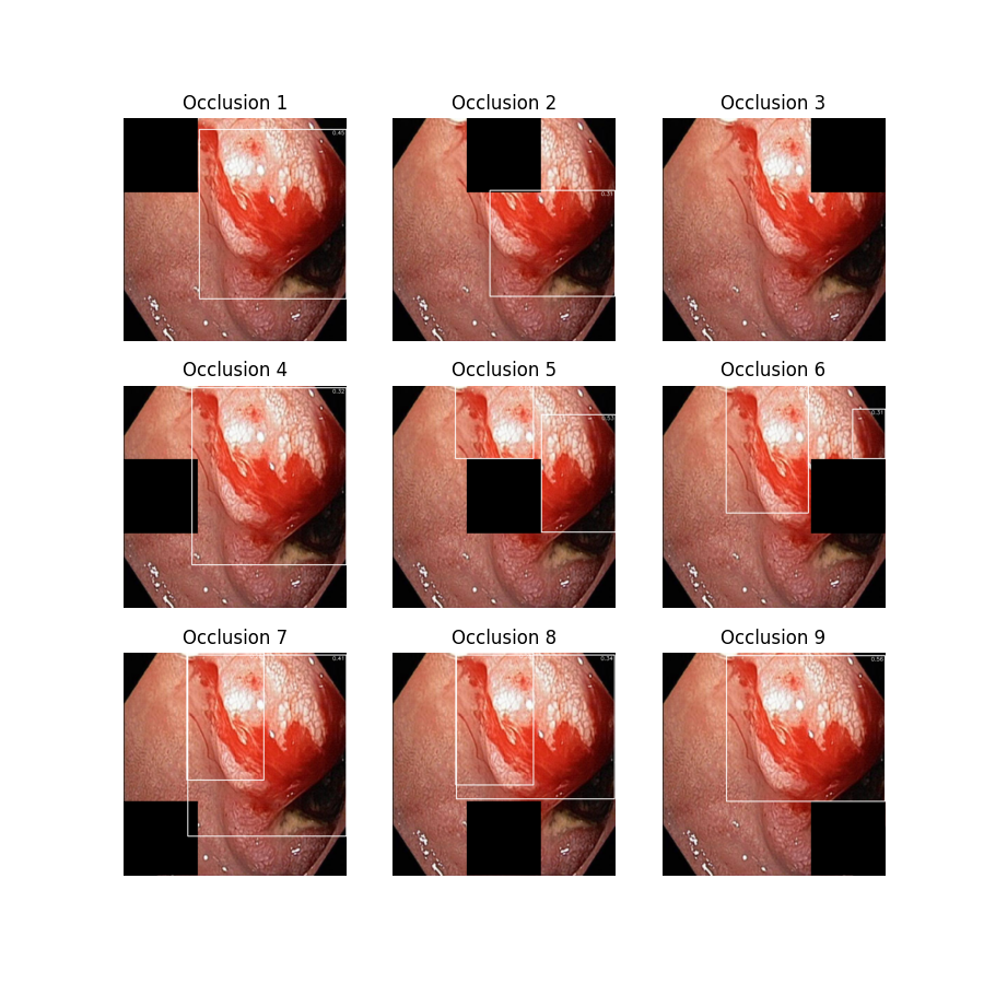 Image 157 Occlusion Plot