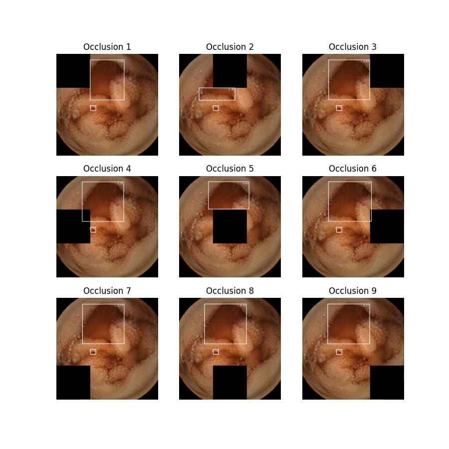 Image 20 Occlusion Plot