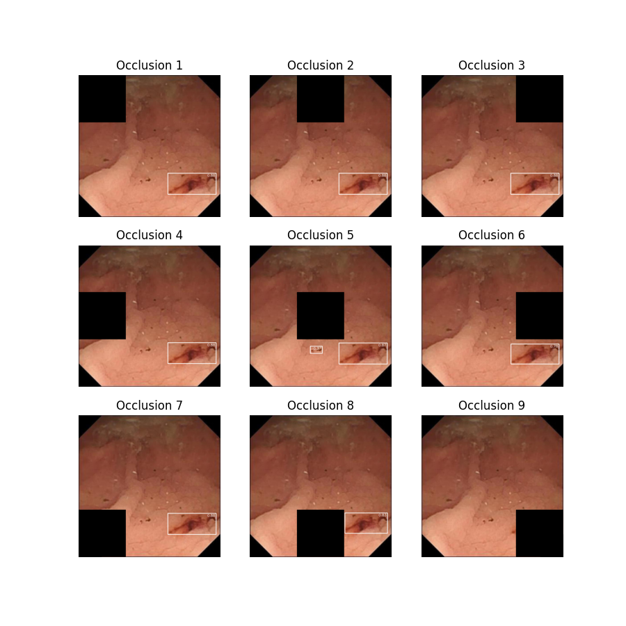 Image 212 Occlusion Plot