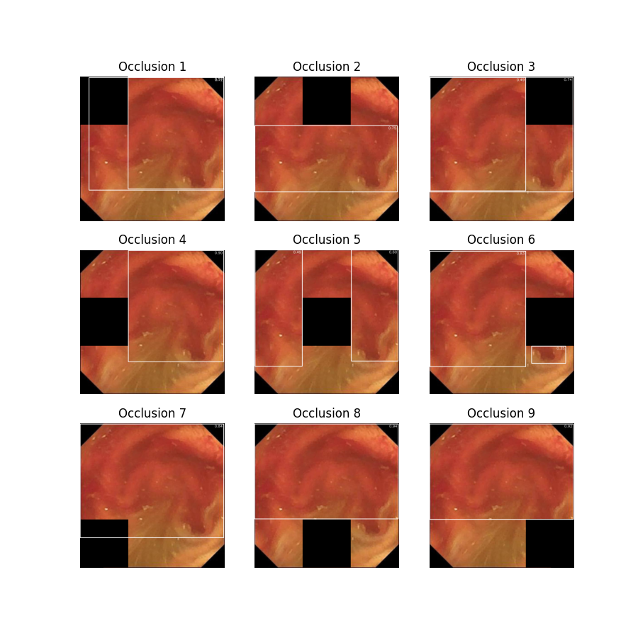 Image 305 Occlusion Plot