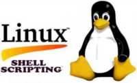 Experiência em sistemas Linux e shell scripting