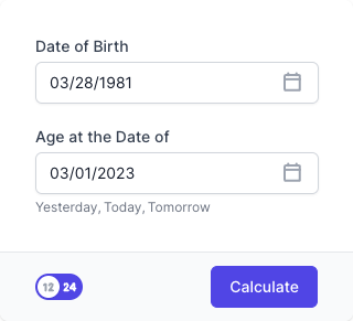 Age Calculator Input Form